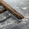 Porte-Manteau Perroquet Bistrot Baumann | L'Atelier Imparfait