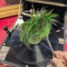 Gramophone Polydor Electrix – 1920/30 | L'atelier Imparfait