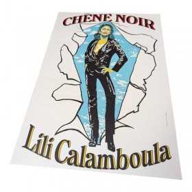 Affiche spectacle Lili...
