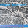 Affiche expo Véronique Joumard 1997 musée Dole | l'Atelier Imparfait