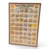 Affiche vintage l'Auca Blau-grana FC Barcelona | L'Atelier Imparfait Affiche vintage l'Auca Blau-grana FC Barcelona | L'Atelier Imparfait
