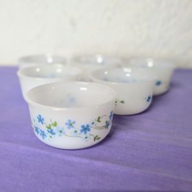 Lot de 6 coupelles Arcopal...