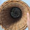 Porte Parapluie Vintage en Osier | L'Atelier Imparfait Porte Parapluie Vintage en Osier | L'Atelier Imparfait