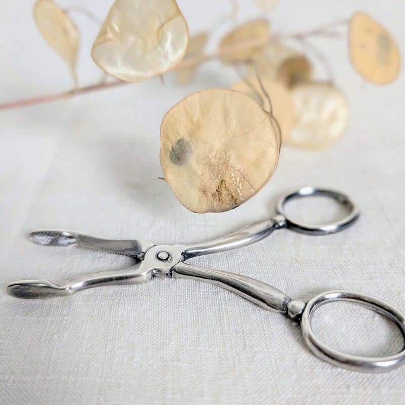Pince à sucre ancienne en métal argenté | L'Atelier Imparfait