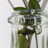 Dame Jeanne XL Transparente | L'Atelier Imparfait