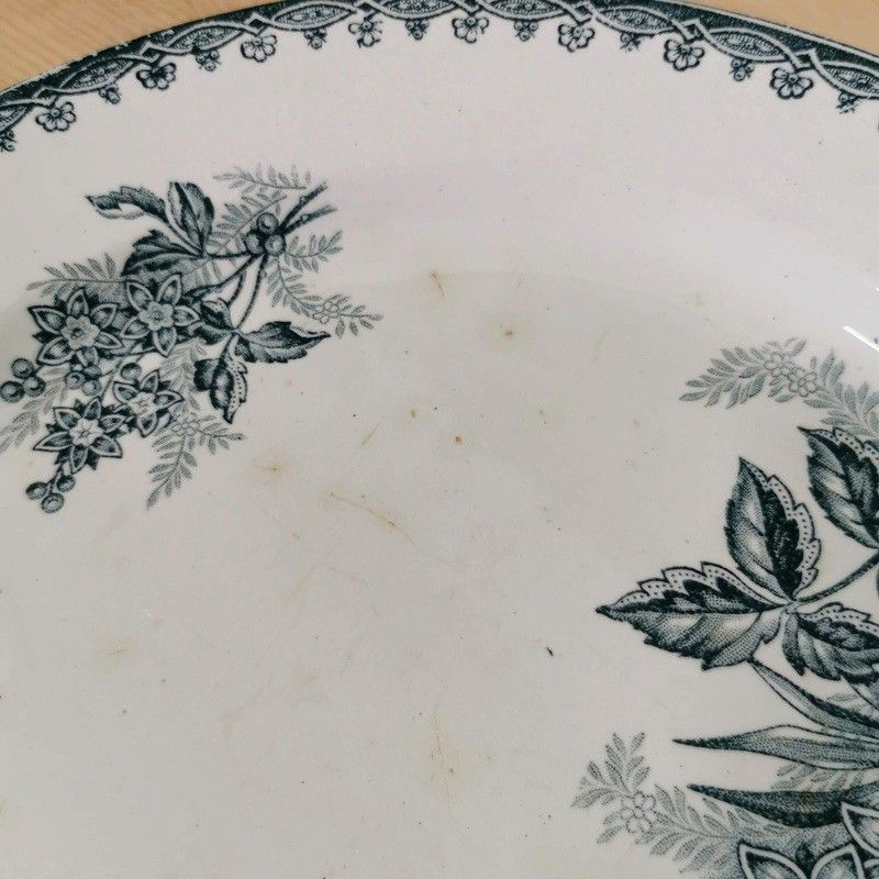 ANCIENNE ASSIETTE CERAMIQUE ST AMANDINOISE LES FRUITS : LES NOIX Collection D Imgx500 7617